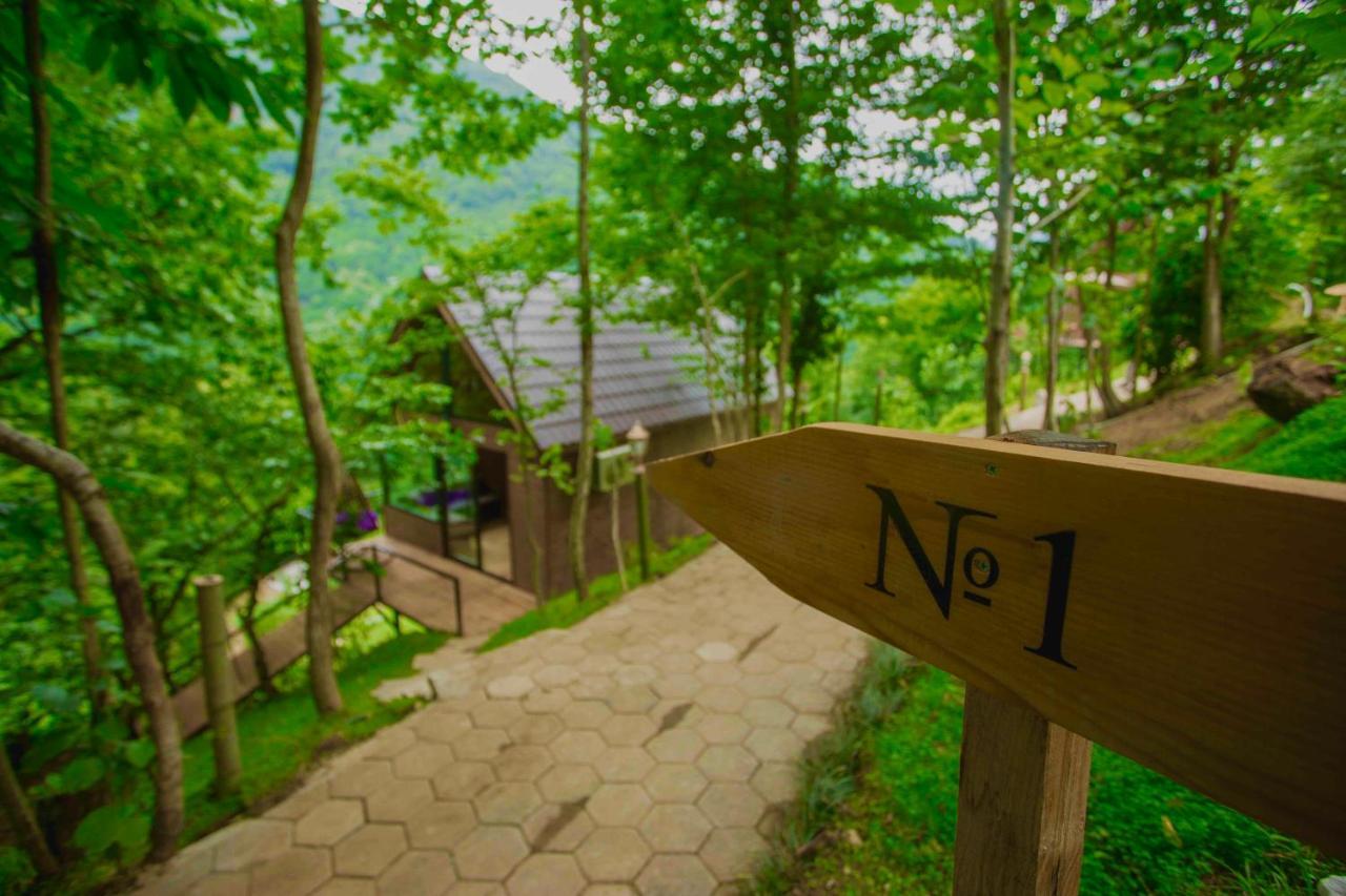 Woodpecker Ვუდფექერი Villa Batumi Exterior photo