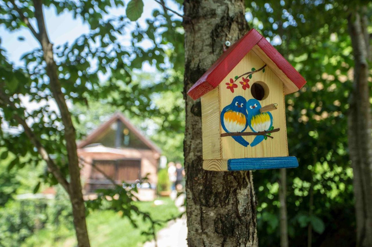 Woodpecker Ვუდფექერი Villa Batumi Exterior photo