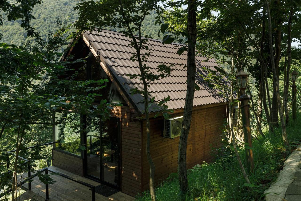 Woodpecker Ვუდფექერი Villa Batumi Exterior photo
