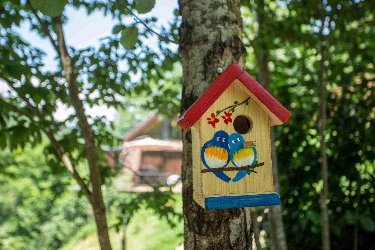 Woodpecker Ვუდფექერი Villa Batumi Exterior photo